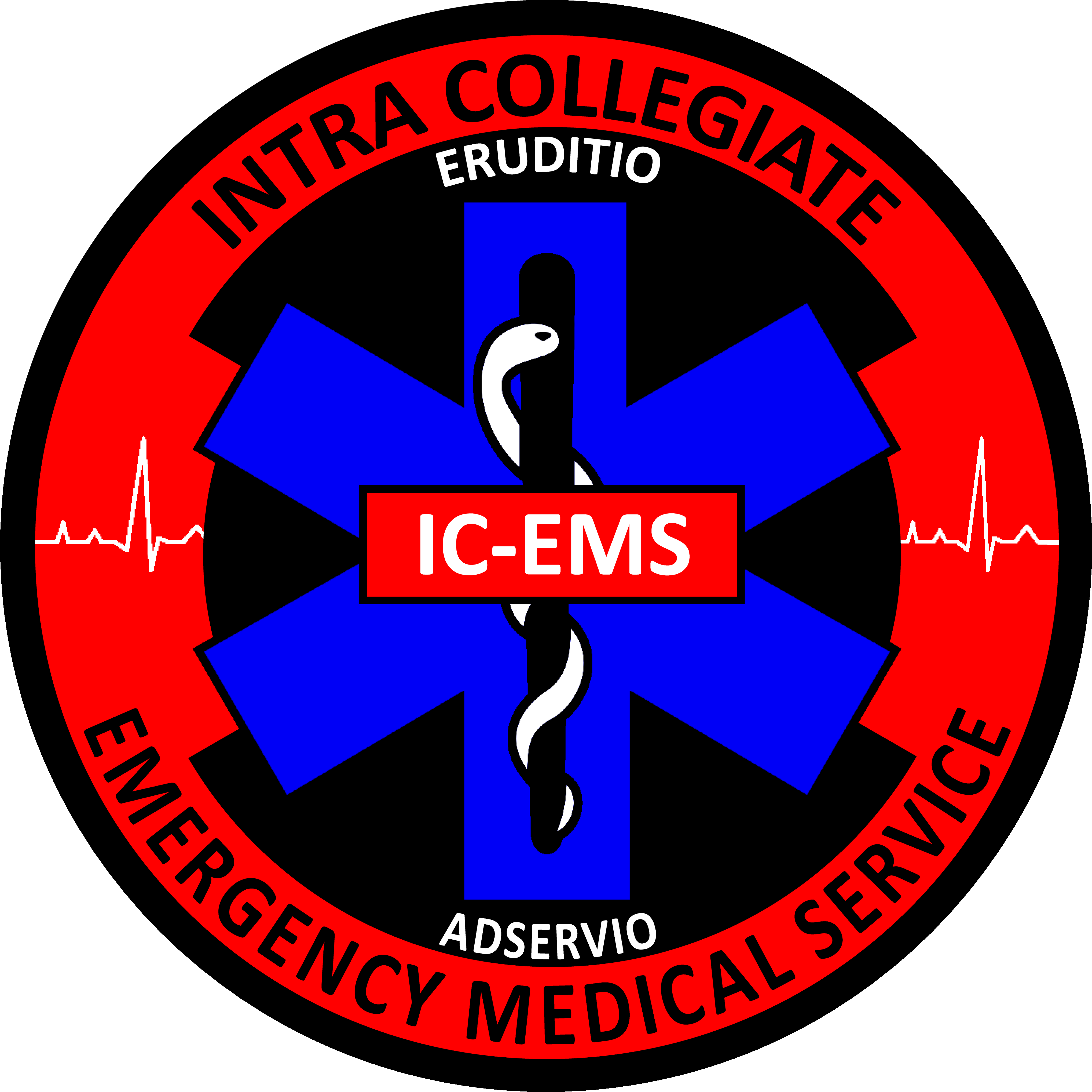 IC-EMS Logo